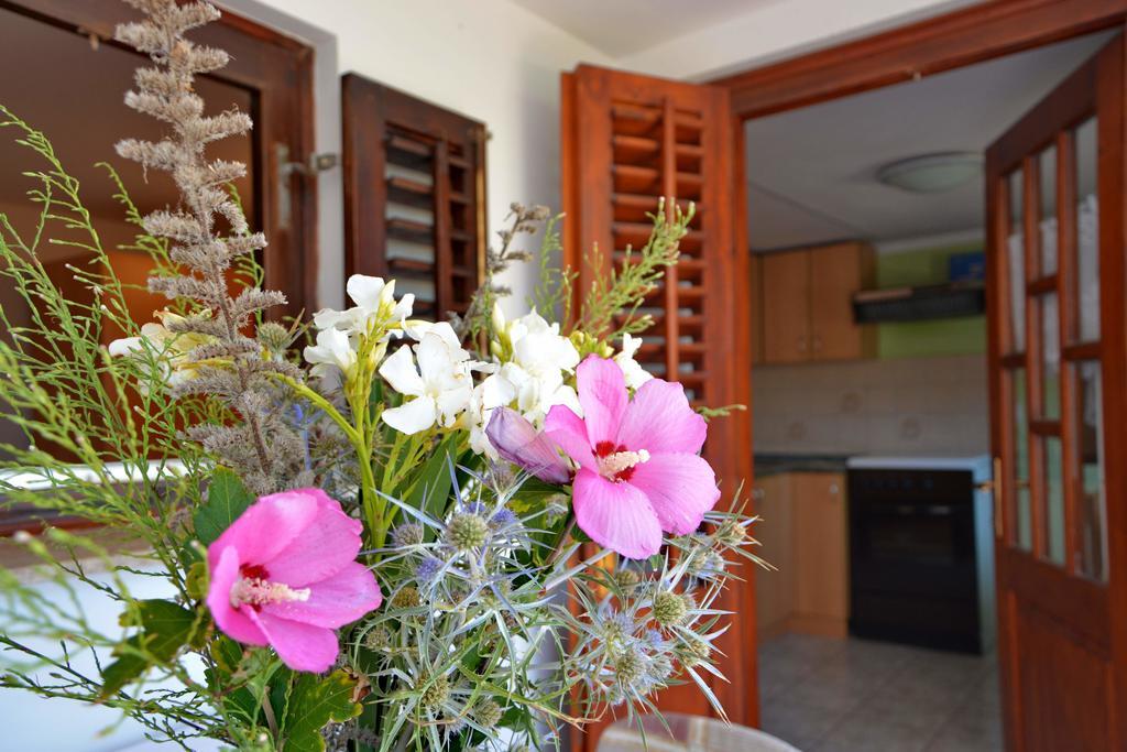 Apartments Joza Вир Экстерьер фото
